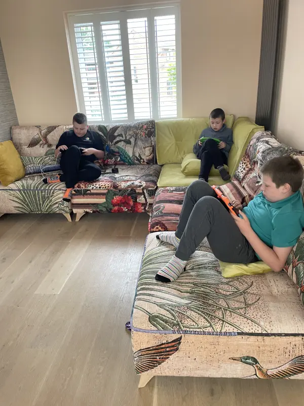 Grandsons at play