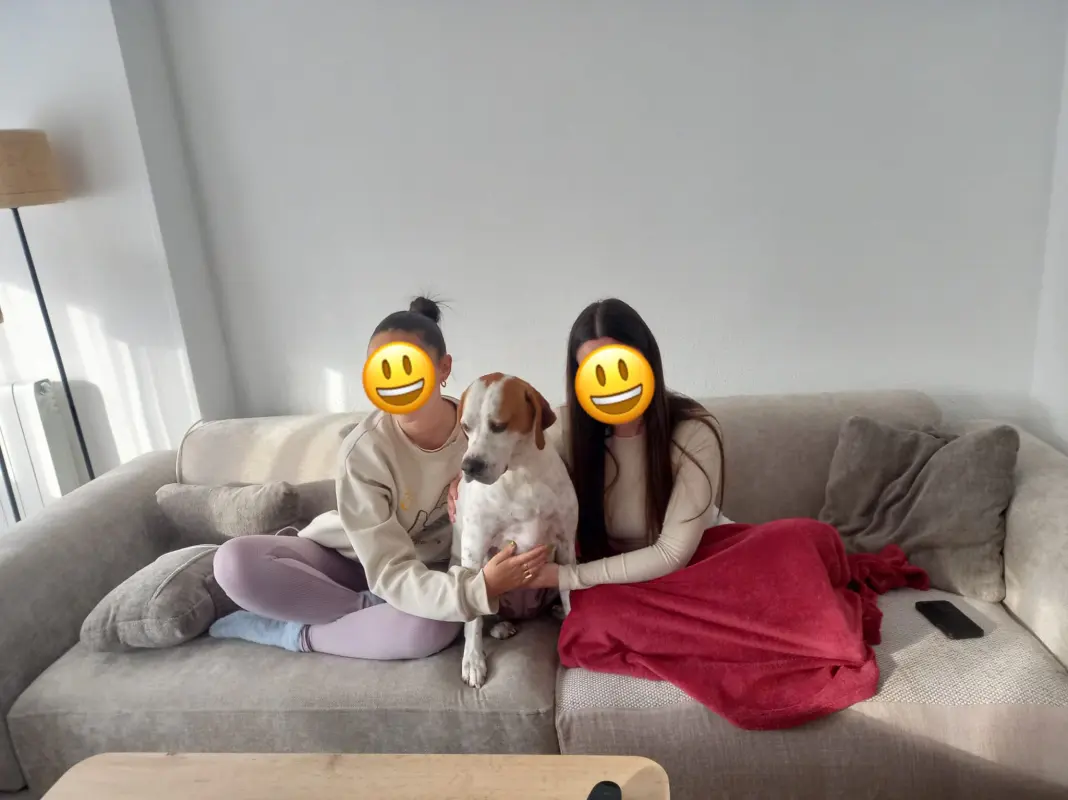 NOCHES DE SOFA EN BUENA COMPAÑIA