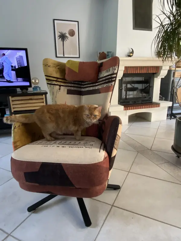 Popy dans son fauteuil