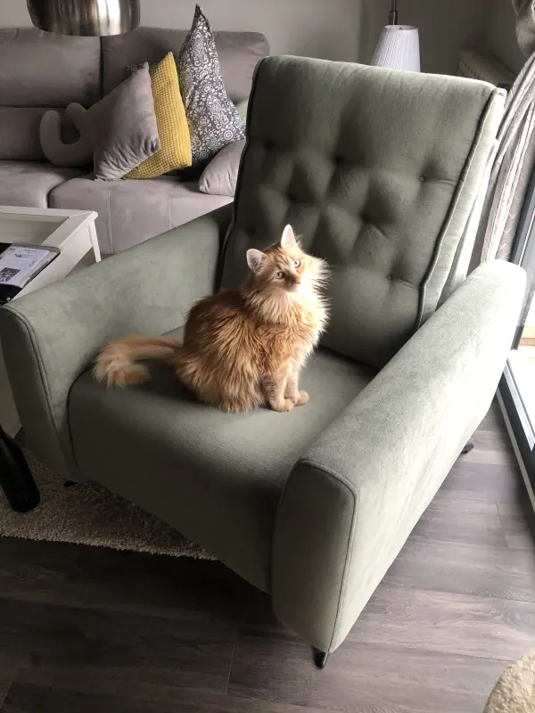Archie súper feliz