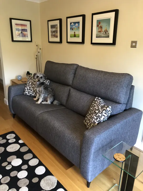 "Barney" loving our new sofa