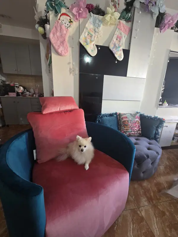UN POCO DE ALEGRÍA PARA SALON