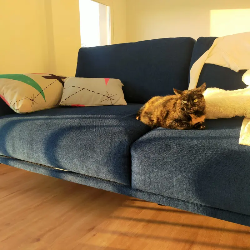 Esta es mi casa y este es mi sofá