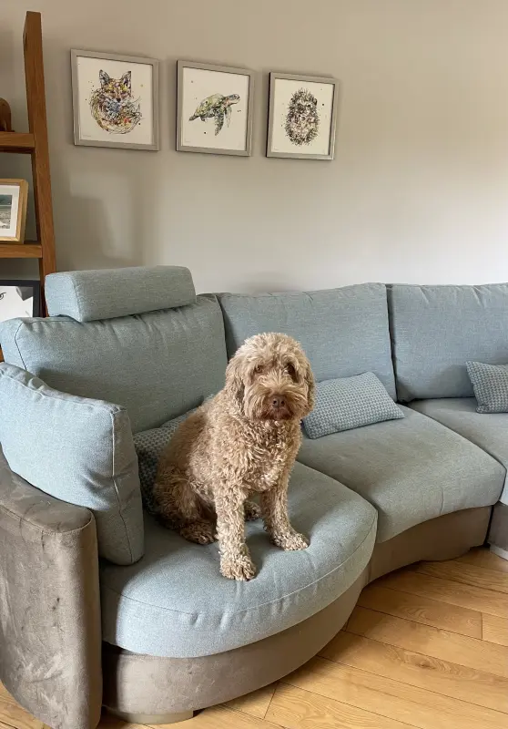 Rapha’s seat