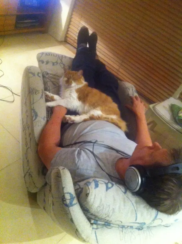 Cat nap