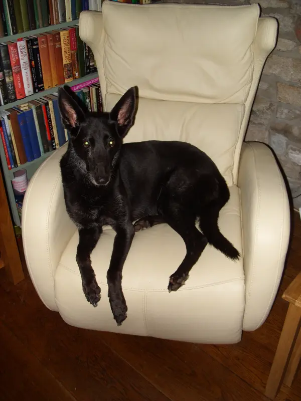 Rosie's Chair
