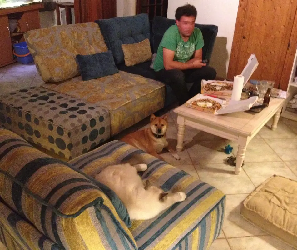 Ce soir, c'est pizza-télé... bien installés !