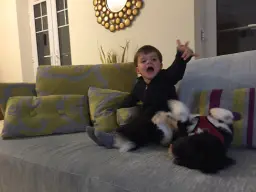 Toddler and dog