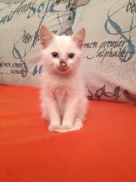 recien llegada a casa.