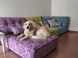 Sofá para disfrutar en compañía