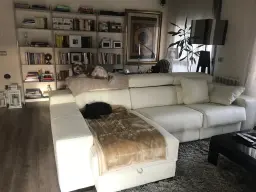 De aquí no me mueves!