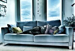 Recuerdos del Confinamiento, Día 48