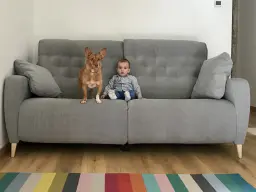 Los Reyes de la casa