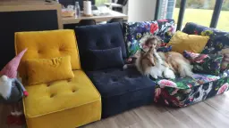 Mano a mano en el sofá Arianne Love... y con el duende de la Navidad