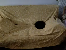 Nerino il Panterino si gode il nuovo divano