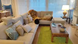 Los leones tambien descasan!