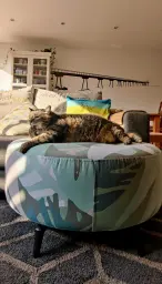 "Nene" disfrutando de su nuevo hot spot