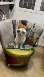 Un descansito antes dé salir