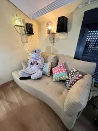 no hay quien baje al koala del Kalahari