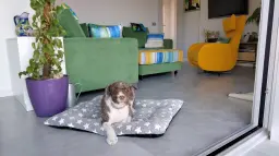 ¡Una manta para poder subiiiir🙌