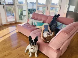 Tarde de sofá, manta y hacer el perro