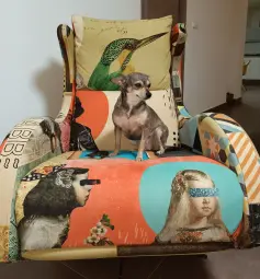 YA SABEMOS QUIEN MANDA EN CASA