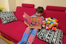 Elmer y Miguel leyendo su libro favorito