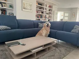 Ya no esPERRO más por el nuevo sofá