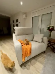 Los reyes de la casa