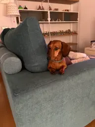 Cuánto me gusta este sofá¡¡¡