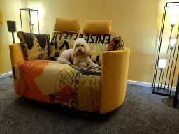 BEST SEAT IN THE HOUSE