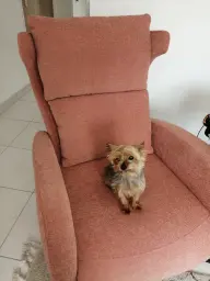 Enfin mon pere à penser  à moi