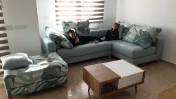 El sofa ganador