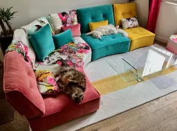 Le Règne Félin sur le Trône Arianne Plus