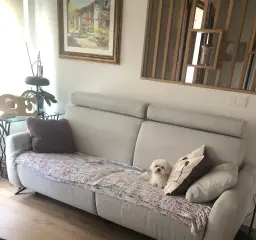 APODERÁNDOSE DEL SOFÁ