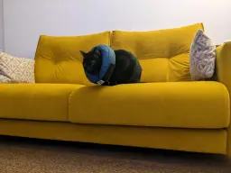 Recuperando energías