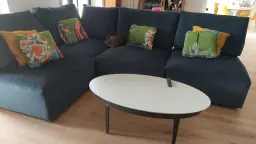 FOTO SOFA SALON CON GATO