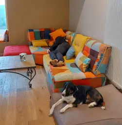 Disfrutar con el pero