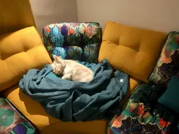 Quality test- passed 👍