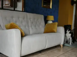 black admiratif devant son  nouveau canapé