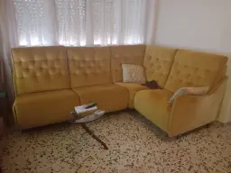 Gatita rescatada descansando