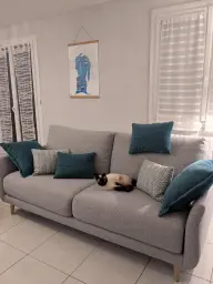 Cat'napé : enfin un canapé digne de moi