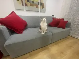 Este sofá es MI sofa