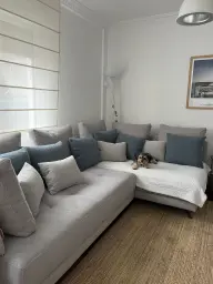 Pantxika descansando en el sofá nuevo