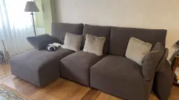 Draco disfrutando del sofá nuevo
