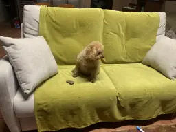 Momento relax de LEO