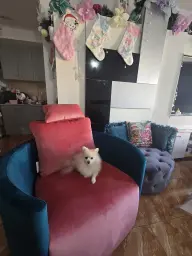 UN POCO DE ALEGRÍA PARA SALON