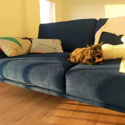 Esta es mi casa y este es mi sofá