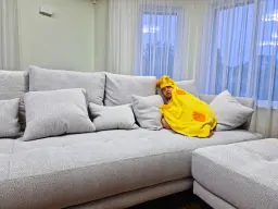 Timurcik