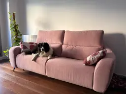 Axel Collie